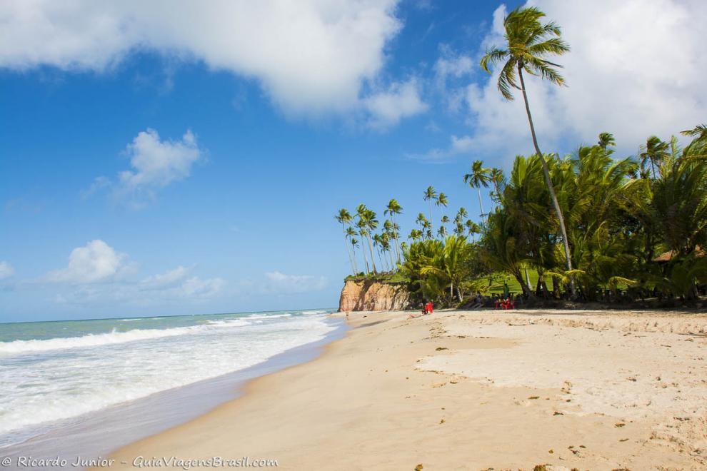 Imagem das areias claras e grandes coqueiros na Praia Barra do Cahy.
